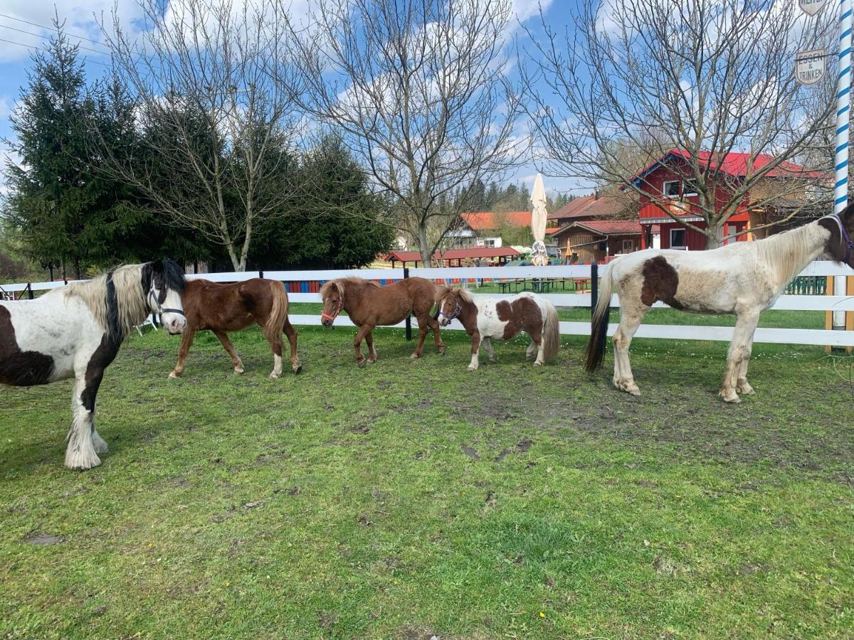 Ferienwohnung Am Ponyhof Altötting Dış mekan fotoğraf