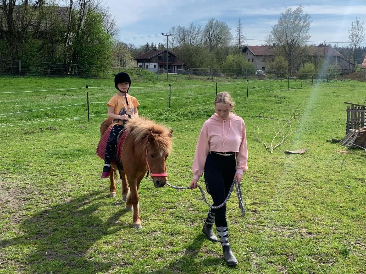 Ferienwohnung Am Ponyhof Altötting Dış mekan fotoğraf